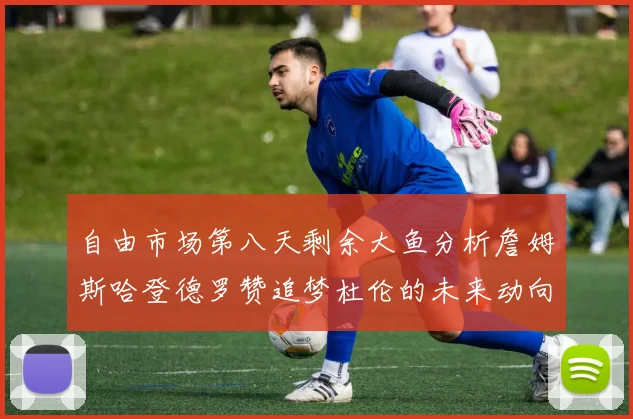 自由市场第八天剩余大鱼分析詹姆斯哈登德罗赞追梦杜伦的未来动向